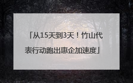 从15天到3天！竹山代表行动跑出惠企加速度