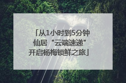 从1小时到5分钟 仙居“云端速递”开启杨梅锁鲜之旅