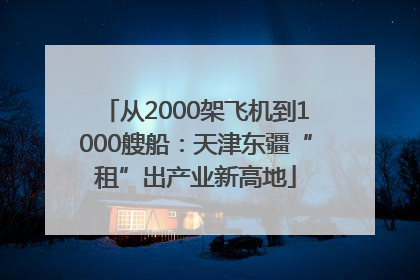 从2000架飞机到1000艘船：天津东疆“租”出产业新高地