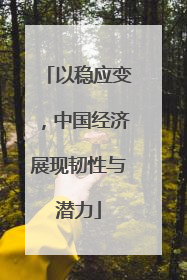 以稳应变，中国经济展现韧性与潜力