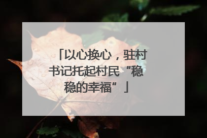以心换心，驻村书记托起村民“稳稳的幸福”