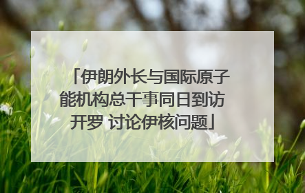 伊朗外长与国际原子能机构总干事同日到访开罗 讨论伊核问题