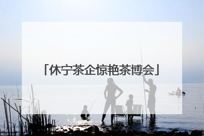 休宁茶企惊艳茶博会
