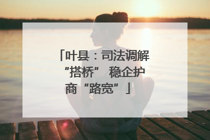 叶县：司法调解“搭桥” 稳企护商“路宽”