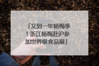 又到一年杨梅季！浙江杨梅赴沪参加世界级食品展