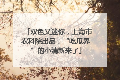 双色又迷你，上海市农科院出品，“吃瓜界”的小清新来了