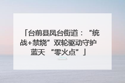 台前县凤台街道：“统战+禁烧”双轮驱动守护蓝天 “零火点”