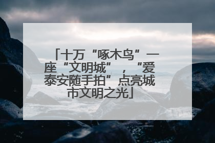 十万“啄木鸟”一座“文明城”，“爱泰安随手拍”点亮城市文明之光
