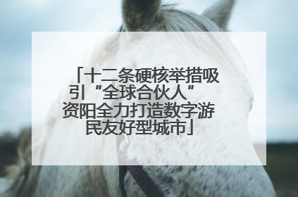 十二条硬核举措吸引“全球合伙人” 资阳全力打造数字游民友好型城市