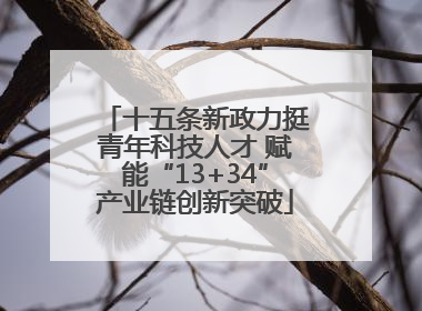 十五条新政力挺青年科技人才 赋能“13+34”产业链创新突破