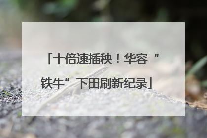 十倍速插秧！华容“铁牛”下田刷新纪录