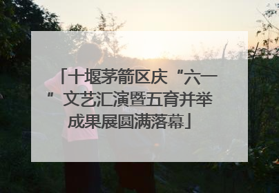 十堰茅箭区庆“六一”文艺汇演暨五育并举成果展圆满落幕