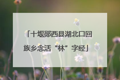 十堰郧西县湖北口回族乡念活“林”字经