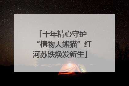 十年精心守护 “植物大熊猫”红河苏铁焕发新生