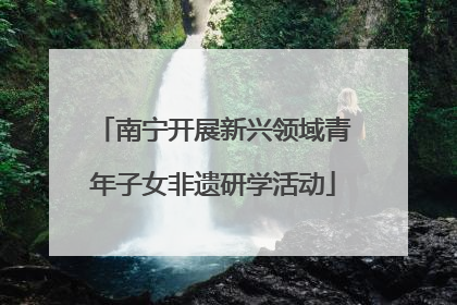 南宁开展新兴领域青年子女非遗研学活动