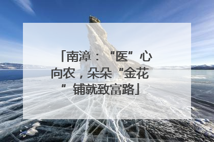 南漳：“医”心向农，朵朵“金花”铺就致富路