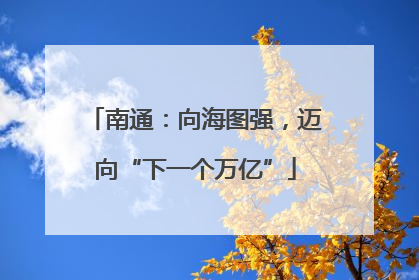 南通：向海图强，迈向“下一个万亿”