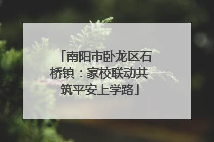 南阳市卧龙区石桥镇：家校联动共筑平安上学路