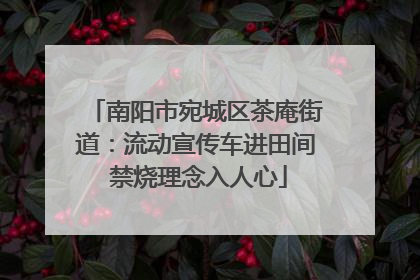 南阳市宛城区茶庵街道：流动宣传车进田间 禁烧理念入人心