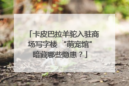 卡皮巴拉羊驼入驻商场写字楼 “萌宠馆”暗藏哪些隐患？