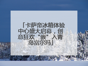 卡萨帝冰箱体验中心盛大启幕，创意狂欢“嵌”入青岛富尔玛