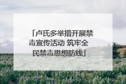 卢氏多举措开展禁毒宣传活动 筑牢全民禁毒思想防线