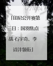 印尼公开赛第三日：国羽焦点战 石宇奇、李诗沣领衔