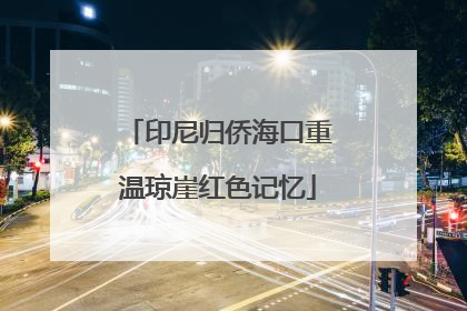 印尼归侨海口重温琼崖红色记忆
