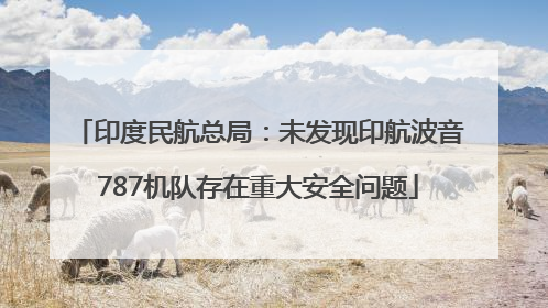 印度民航总局：未发现印航波音787机队存在重大安全问题