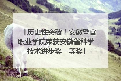 历史性突破！安徽警官职业学院荣获安徽省科学技术进步奖一等奖