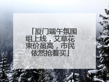 厦门端午氛围组上线，艾草花束价虽高，市民依然抢着买