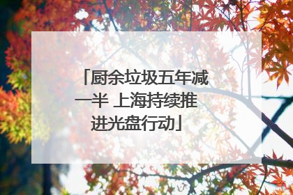 厨余垃圾五年减一半 上海持续推进光盘行动