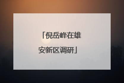 倪岳峰在雄安新区调研