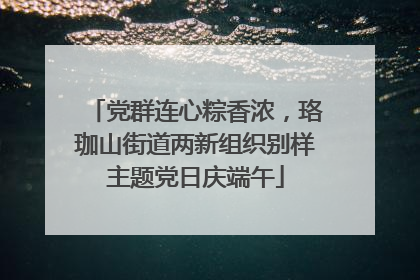 党群连心粽香浓，珞珈山街道两新组织别样主题党日庆端午