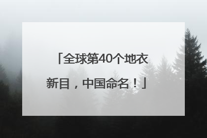 全球第40个地衣新目，中国命名！