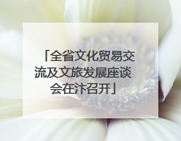 全省文化贸易交流及文旅发展座谈会在汴召开