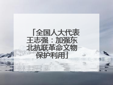 全国人大代表王志强：加强东北抗联革命文物保护利用