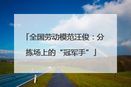 全国劳动模范汪俊：分拣场上的“冠军手”