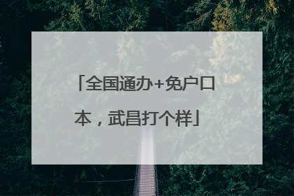 全国通办+免户口本，武昌打个样