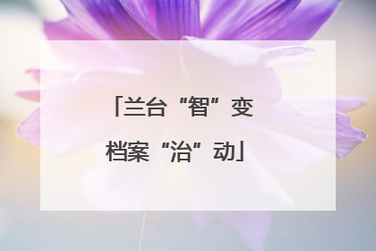 兰台“智”变 档案“治”动