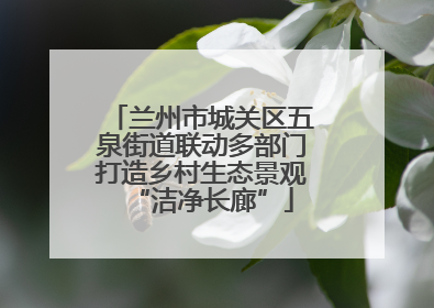 兰州市城关区五泉街道联动多部门打造乡村生态景观“洁净长廊”