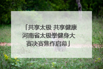 共享太极 共享健康 河南省太极拳健身大赛决赛焦作启幕