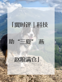 冀时评｜科技助“三夏” 燕赵粮满仓