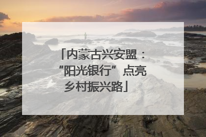 内蒙古兴安盟：“阳光银行”点亮乡村振兴路