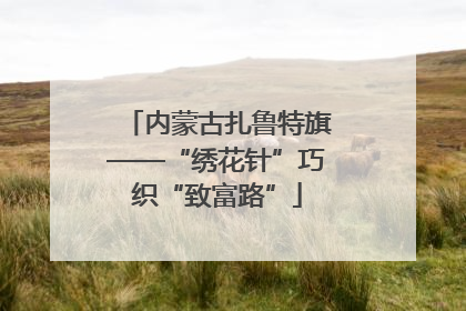 内蒙古扎鲁特旗——“绣花针”巧织“致富路”