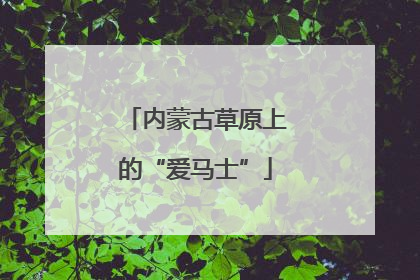 内蒙古草原上的“爱马士”