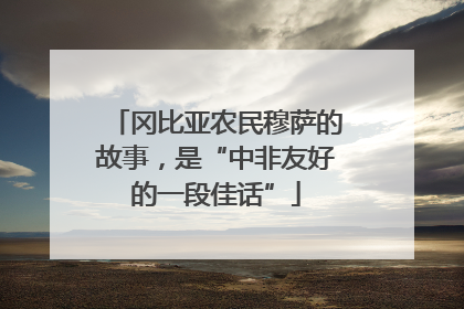冈比亚农民穆萨的故事，是“中非友好的一段佳话”