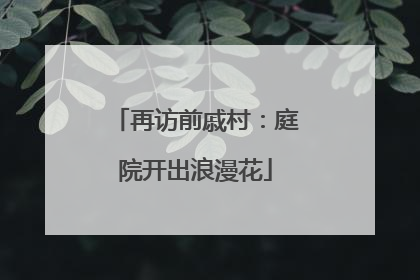 再访前戚村：庭院开出浪漫花