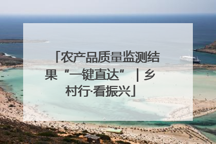 农产品质量监测结果“一键直达”｜乡村行·看振兴