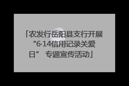 农发行岳阳县支行开展“6·14信用记录关爱日” 专题宣传活动
